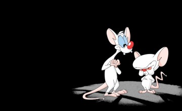 Pinky_And_The_Brain_______w_1920x1080