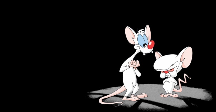 Pinky_And_The_Brain_______w_1920x1080